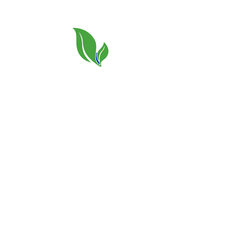 ElBishbishy