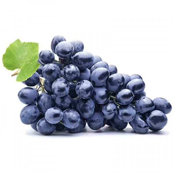 A bunch of black Autumn Royal grapes