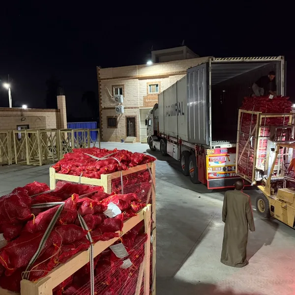 Night loading of produce into a container