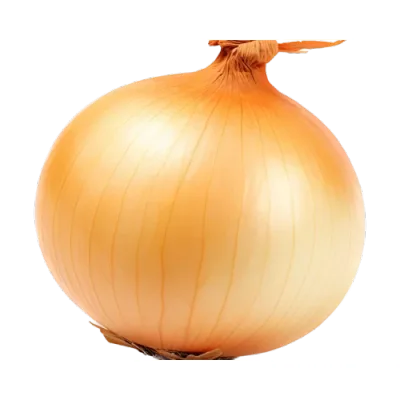 A golden onion